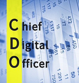 Chief Digital Officer CDO